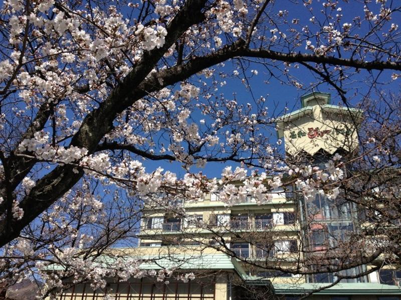 Isawa View Hotel Fuefuki Exterior photo